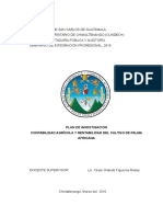 Plan de Investigacion Contabilidad Agricola y Rentabilidad Del Cultivo de Palma Africana Valentin Lopez