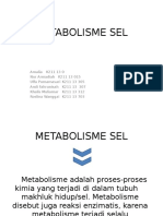 Metabolisme Sel ulfa