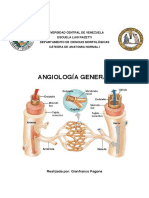 Angiología General