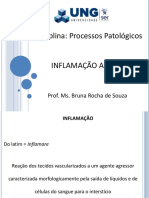 5) Inflamação Aguda