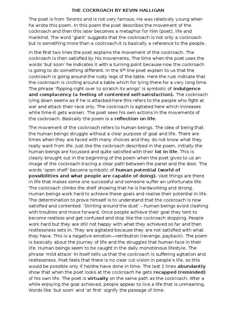 The cockroach by kevin halligan essay 08 image