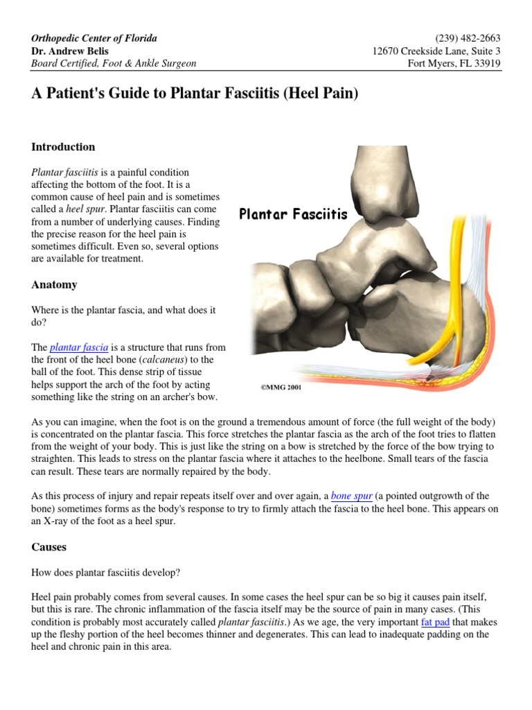 Guide to Plantar Fasciitis Treatment | PDF | Foot | Musculoskeletal System