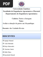 Situacao de Pastos em Mocambique