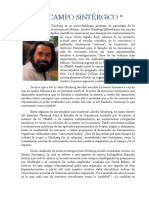 Campo Sintérgico PDF