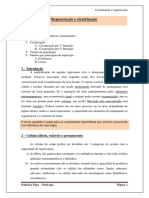 Cicatrizaoereparo 110318140408 Phpapp01 PDF