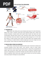 Download peringkat kimia selular dan tisu organisma asgmnet by bunga_2381 SN30561867 doc pdf