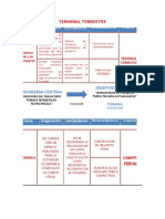 Programa Terminal 