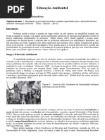 Aula 3 - Movimentos Ambientalistas