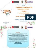 PROGRAMA-CURRICULAR-INICIAL-2.pdf
