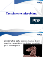 Processos Industriais Bioquímicos_Aula 04