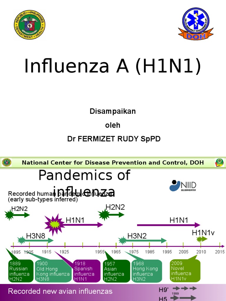 Understanding Influenza A (H1N1) | PDF | Swine Influenza | Influenza
