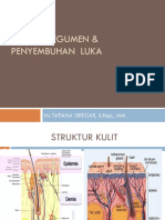 Anfis Integumen Dan Mamanjemen Luka-1 PDF