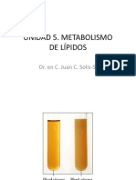 Metabolismo de Lipidos