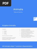 Animalia