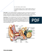 Partes Del Oído