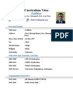 Curriculum Vitae: Zulfikar