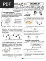 aula11_campo_magnetico.pdf