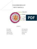 Tugas Mikrobiologi Virus Varicella: Kelompok 10