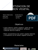 Sintetizacion de Carbon Vegetal