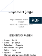 Lapjag