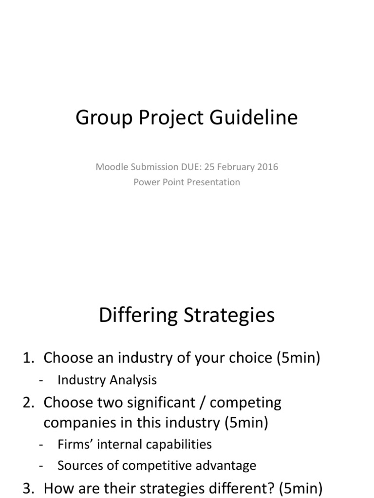 Group Project Guidelines for Industry Analysis | PDF | Business