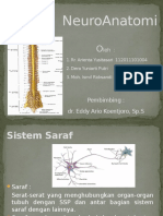 Responsi Neuroanatomi.pptx