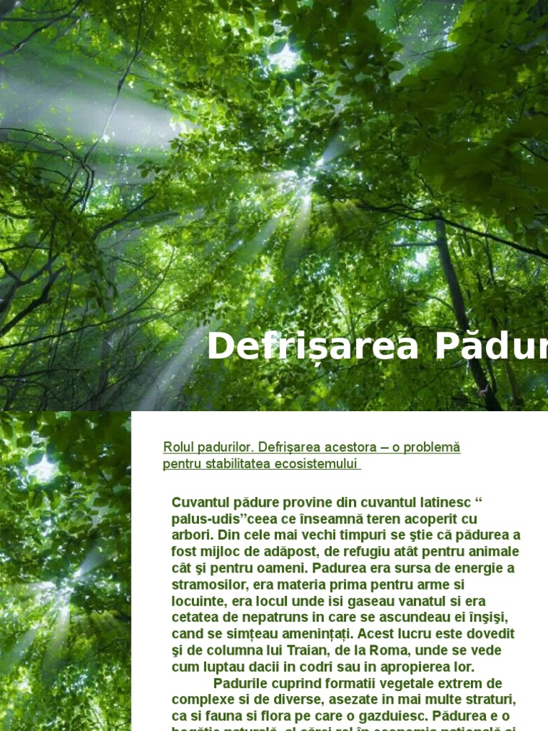 Defrisarea Padurilor | PDF