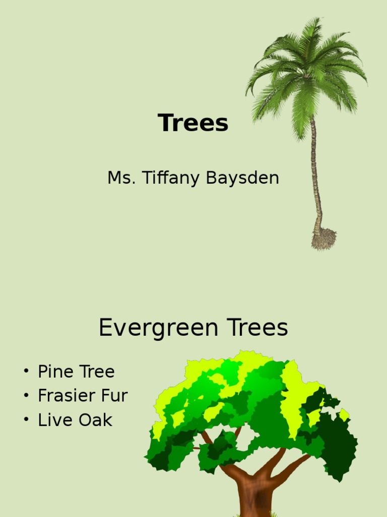 Trees | PDF