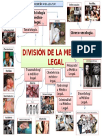 División de La Medicina Legal