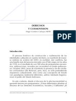 Derechos y Cosmovision