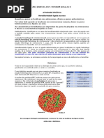 Atividade Prática Daltonimo 2014