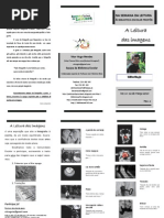 Exposição - A Leitura das Imagens