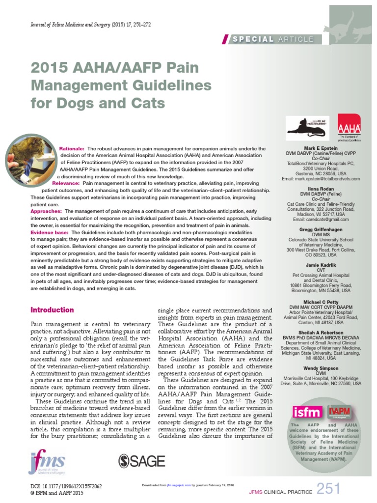 Journal of Feline Medicine and Surgery PDF Nonsteroidal Anti