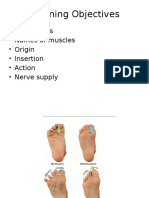 Learning Objectives: - Movements - Names of Muscles - Origin - Insertion - Action - Nerve Supply