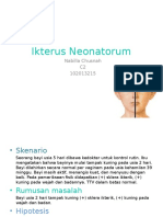 Ikterus Neonatorum