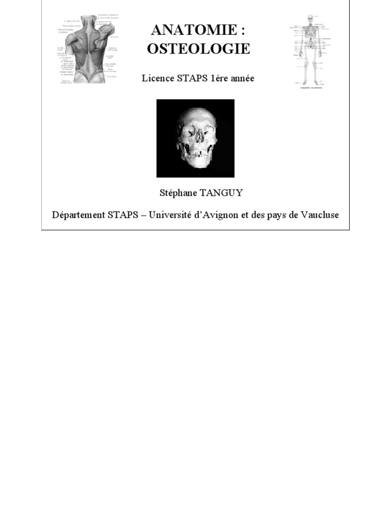 Anatomie et Ostéologie du Squelette | PDF | Os | Système squelettique