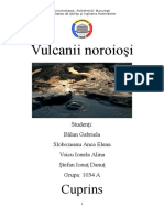 Vulcanii noroiosi