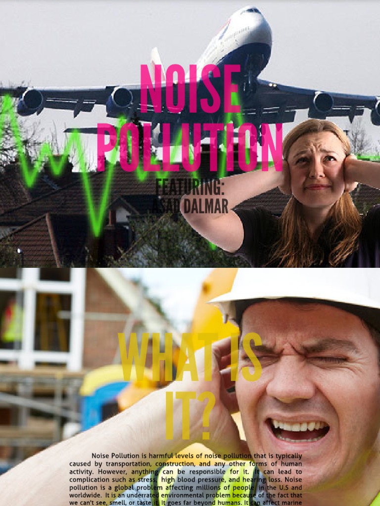 Noise Pollution PDF Pollution Hearing Loss