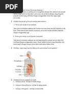 Download Jelaskan Pengertian Sistem Pencernaan Manusia by Muhammad Irvan SN305857068 doc pdf