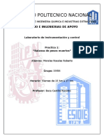 Practica 1 Balanza de Pesos Muertos