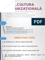 1cultura Organizationala