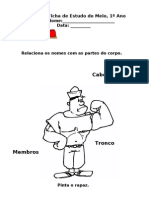 As partes do corpo humano - cabeça, tronco e membros..