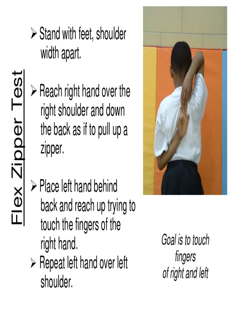 Zipper Test PDF PDF Anatomical Terms Of Motion Human Anatomy