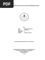 Download EFEK HORMONAL TERHADAP PEMIJAHAN IKANdocx by Azhar Faturohman A SN305892036 doc pdf