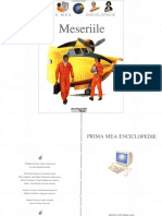 Prima Mea Enciclopedie Meseriile PDF