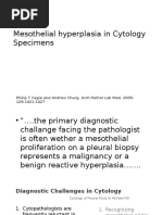 Mesothelial Hyperplasia in Cytology Specimens MODIF