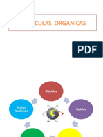 MOLECULAS  ORGANICAS