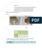 Cruce para Herencia Ligada Al Sexo Frasco II