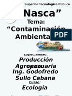 Diapositivas Contaminación Ambiental
