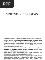 Download Makalah SINTESIS  DEGRADASI by L Ahmad Asmayadi SN305944501 doc pdf